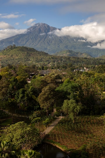 a landscape with a mountain in the background