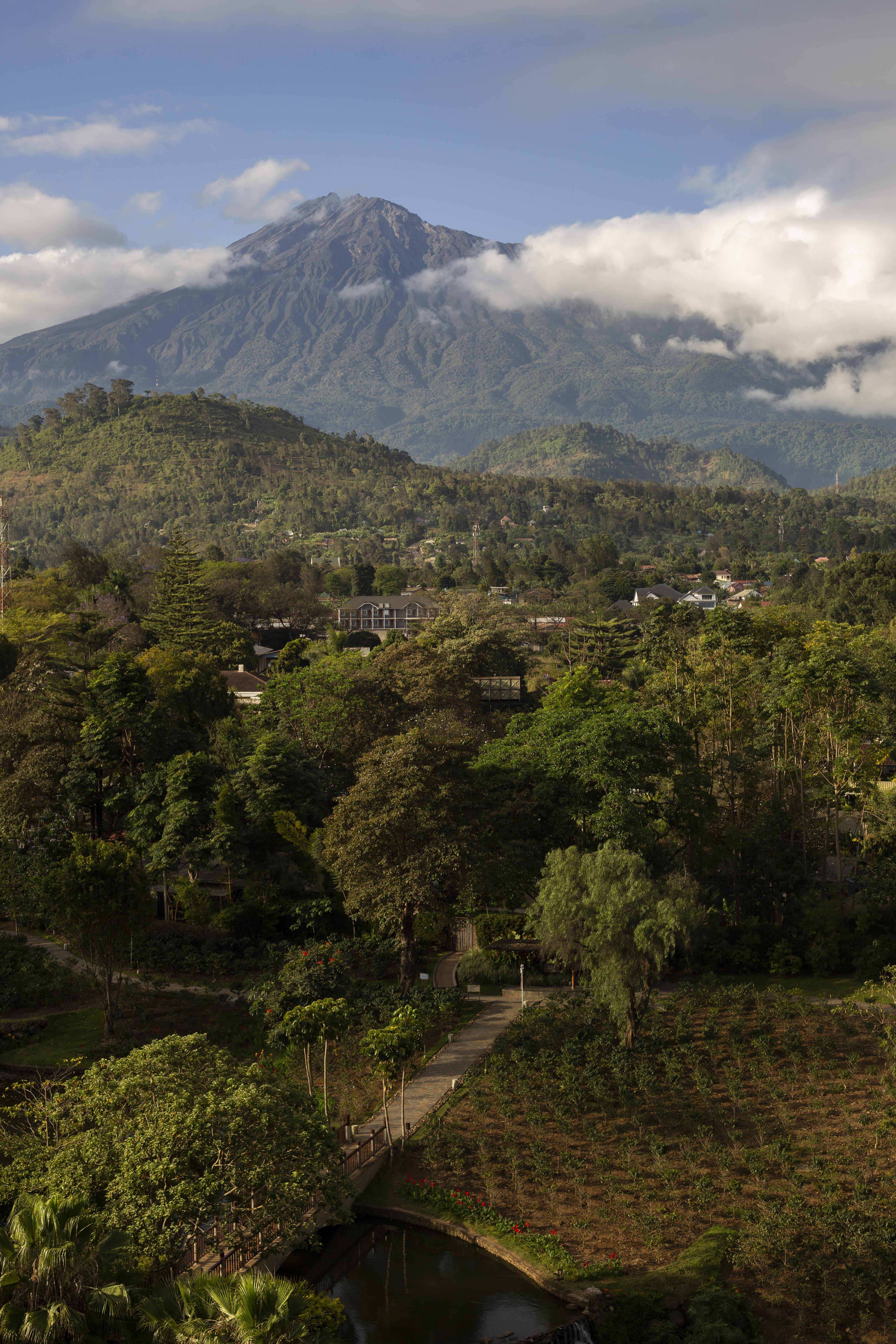 a landscape with a mountain in the background