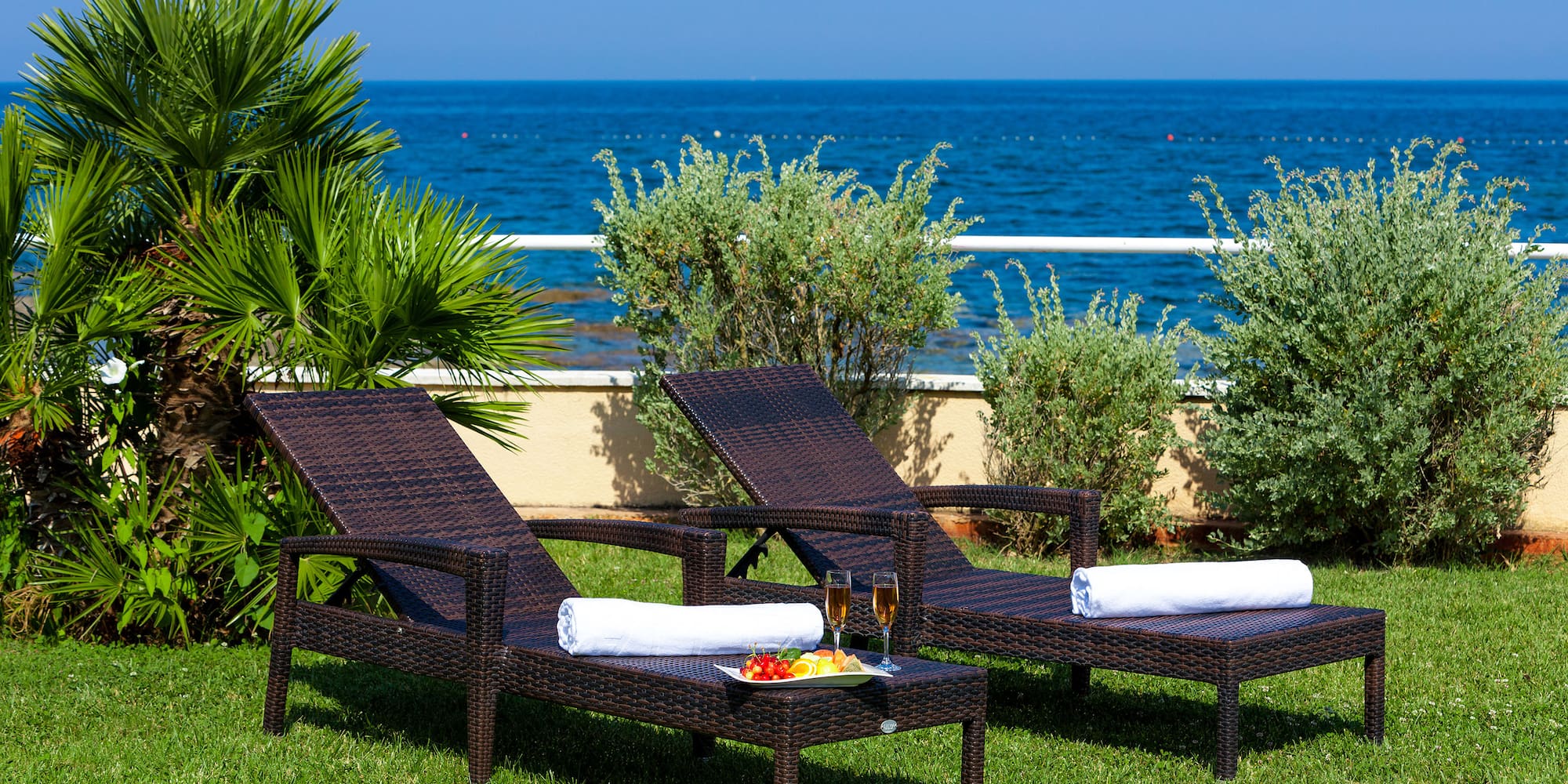 two chairs on the grass