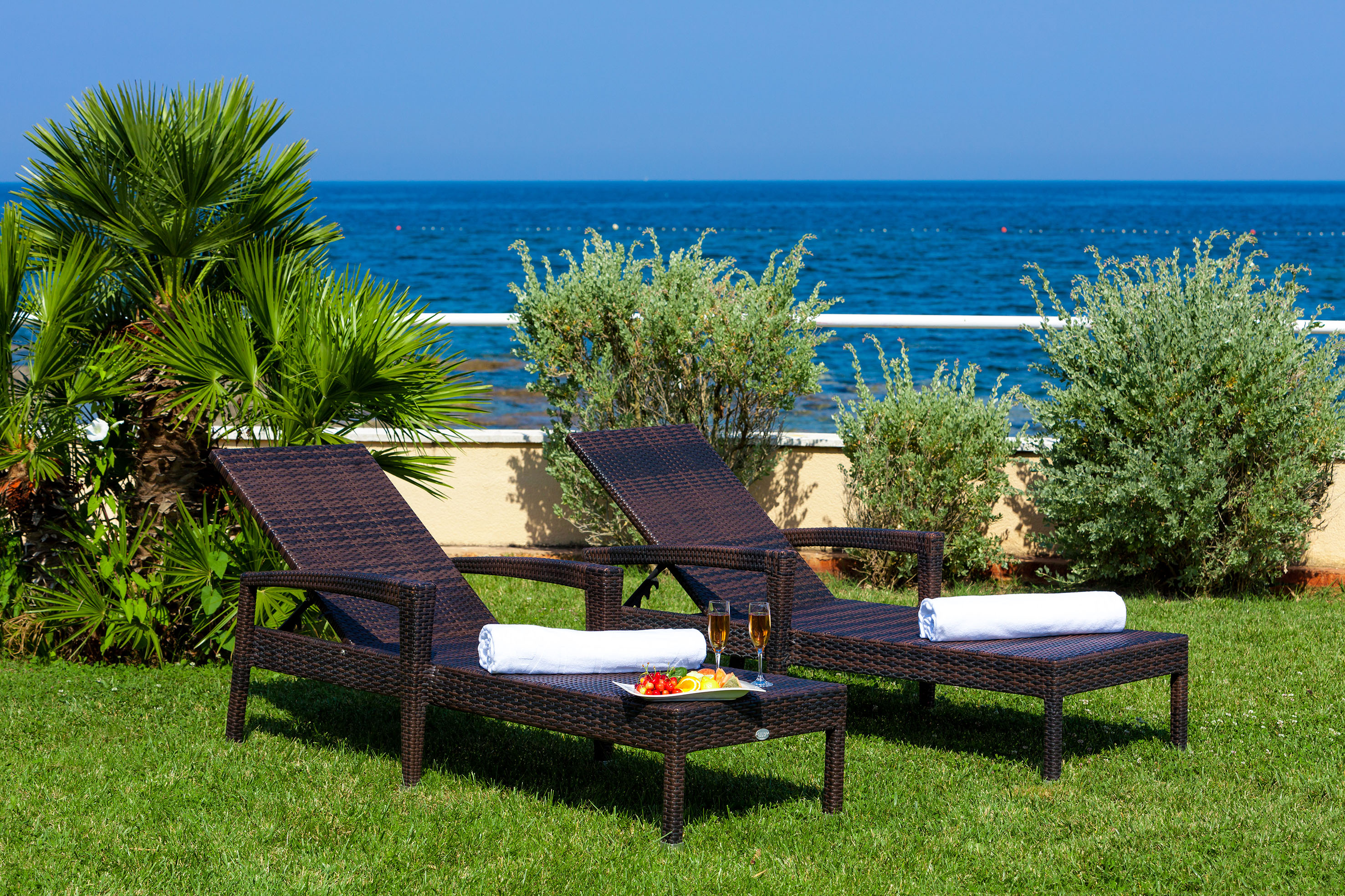 two chairs on the grass