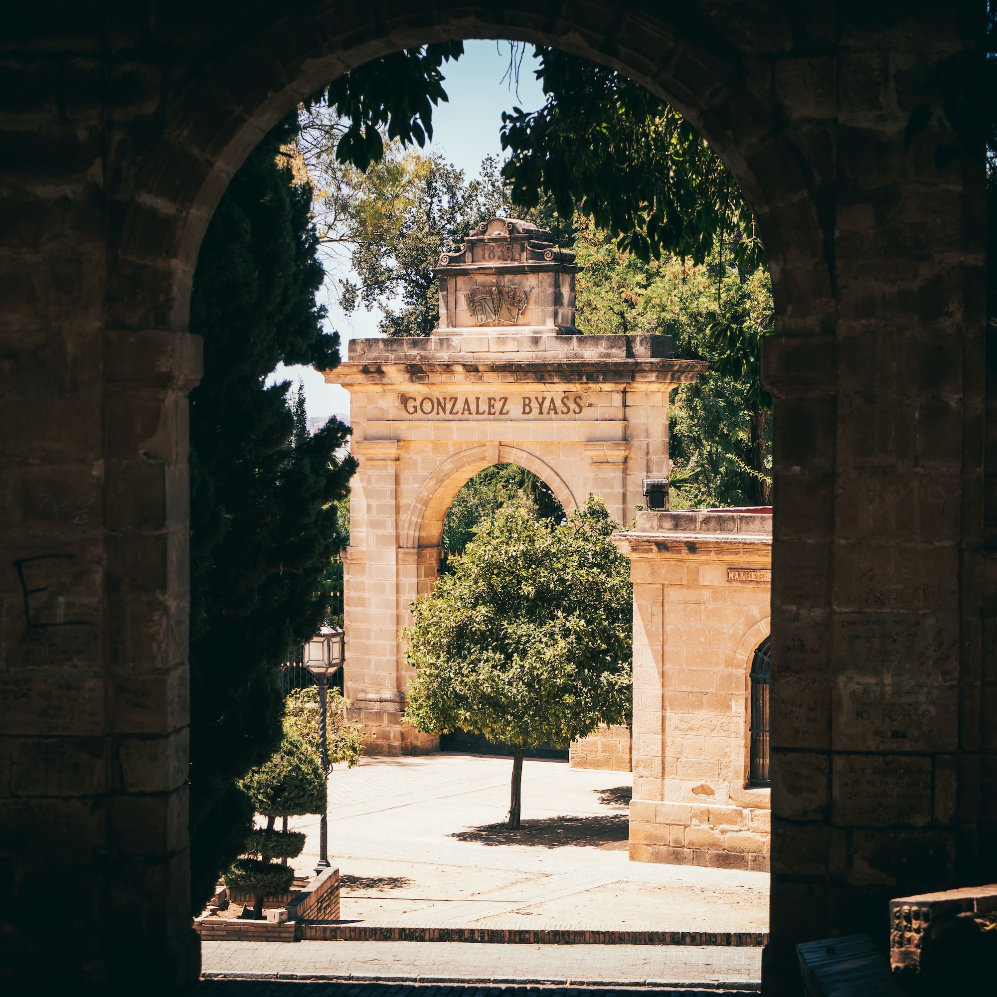 a stone archway with a tree in the middle