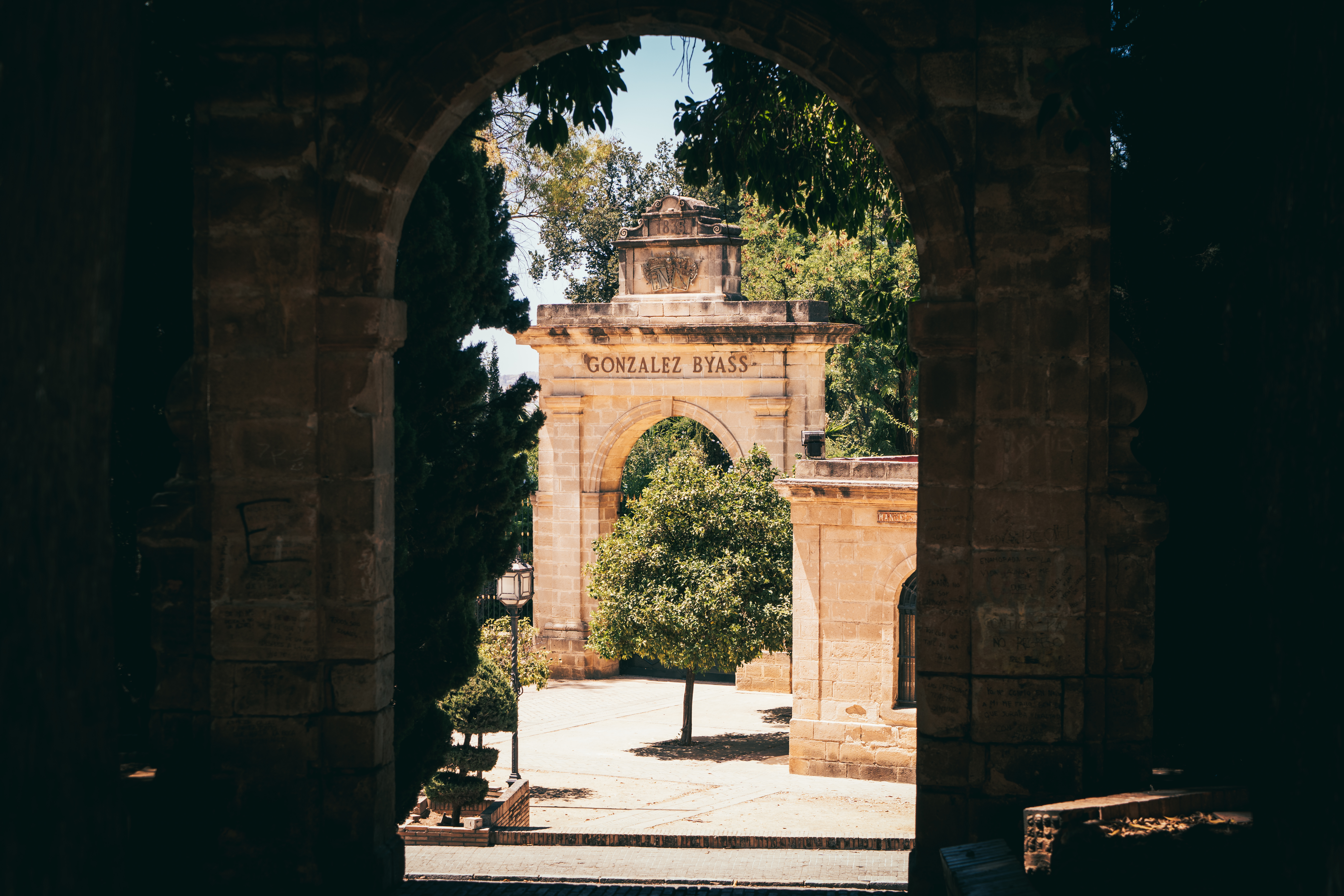 a stone archway with a tree in the middle