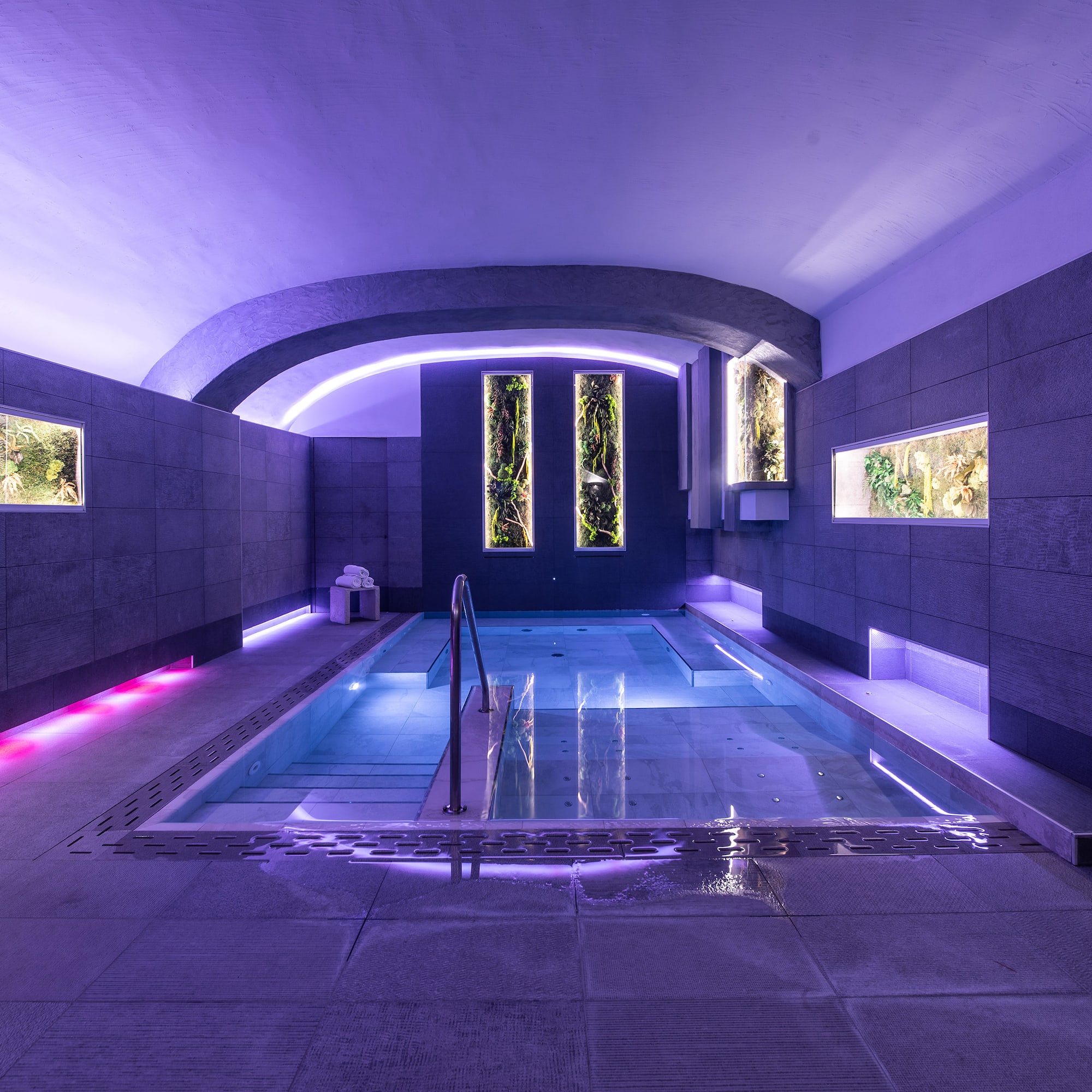 a pool with a ladder in a room with plants and lights