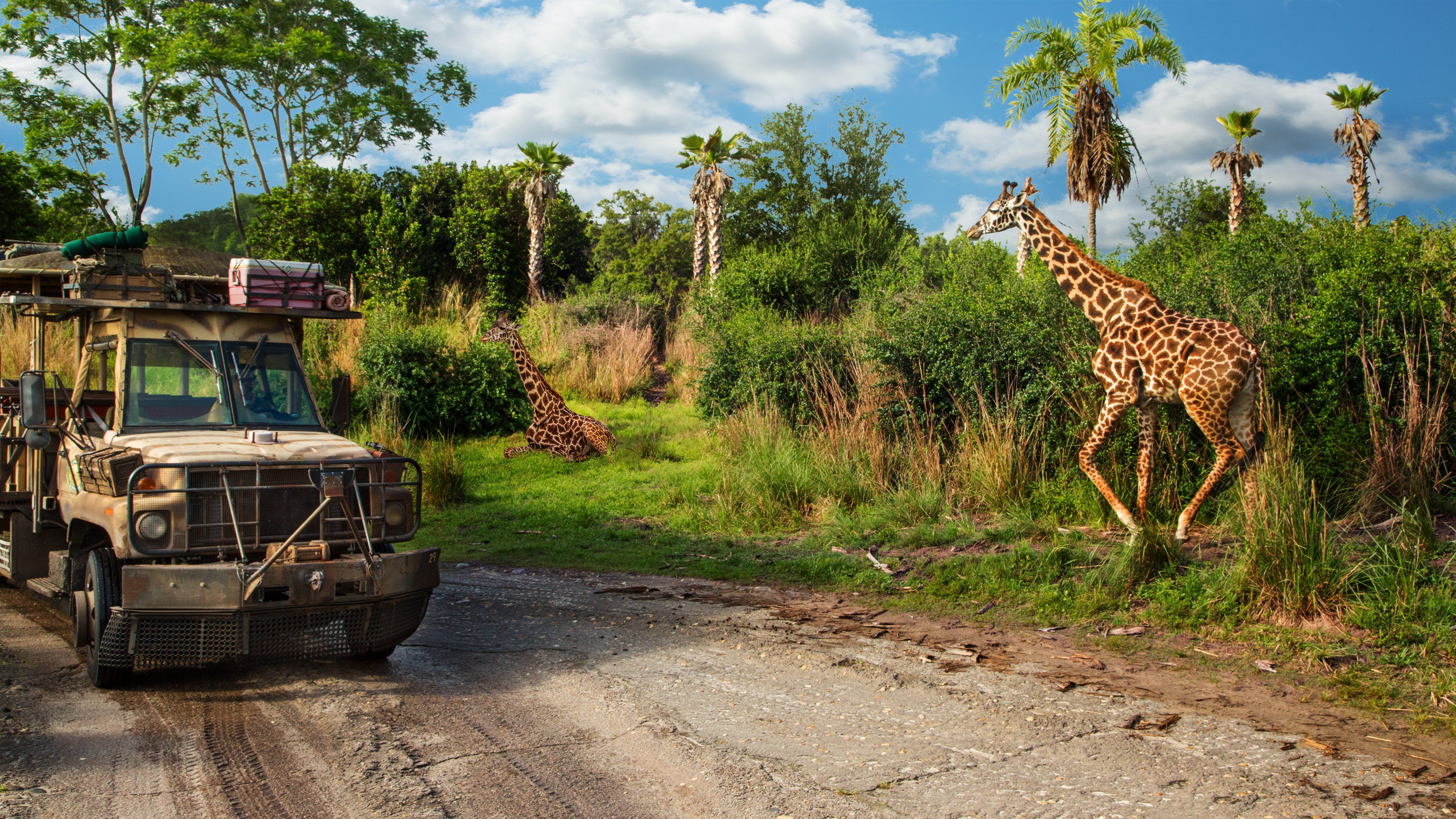 Adventure safari truck and two giraffes in a sunny savanna. - Walt Disney World - Meliá Orlando Celebration, Orlando