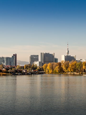 a city skyline with trees and water