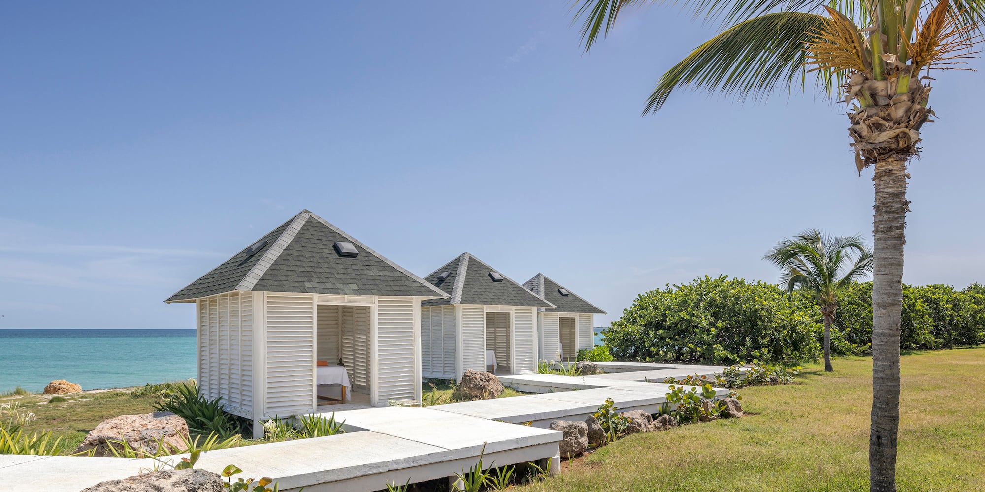 a white building with a deck and a palm tree by the water