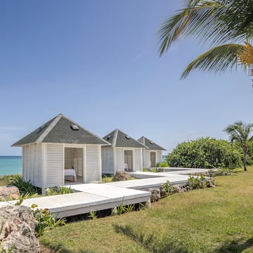 a white building with a deck and a palm tree by the water