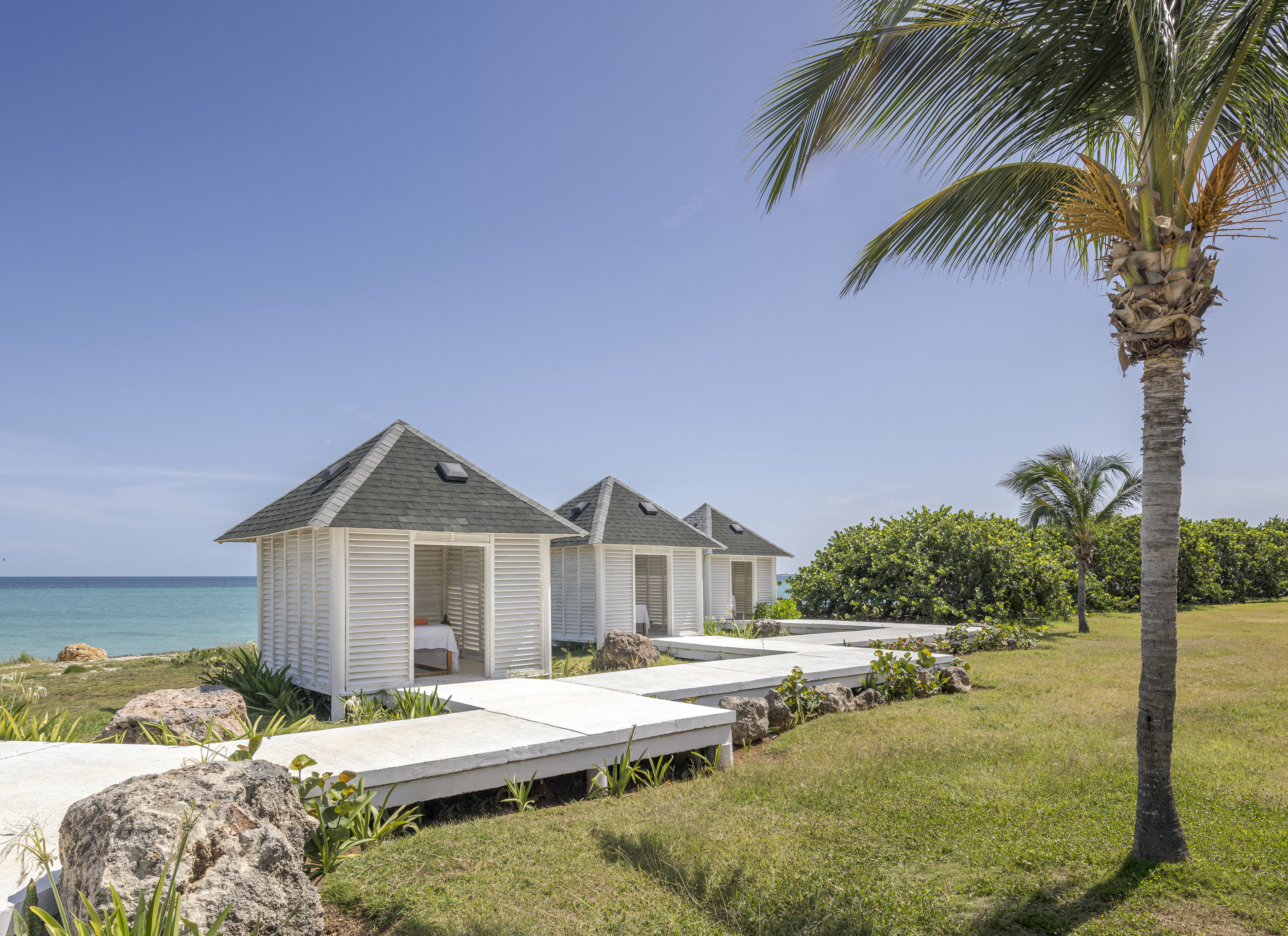 a white building with a deck and a palm tree by the water