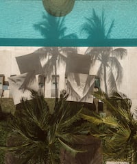 a pool with palm trees and a circle