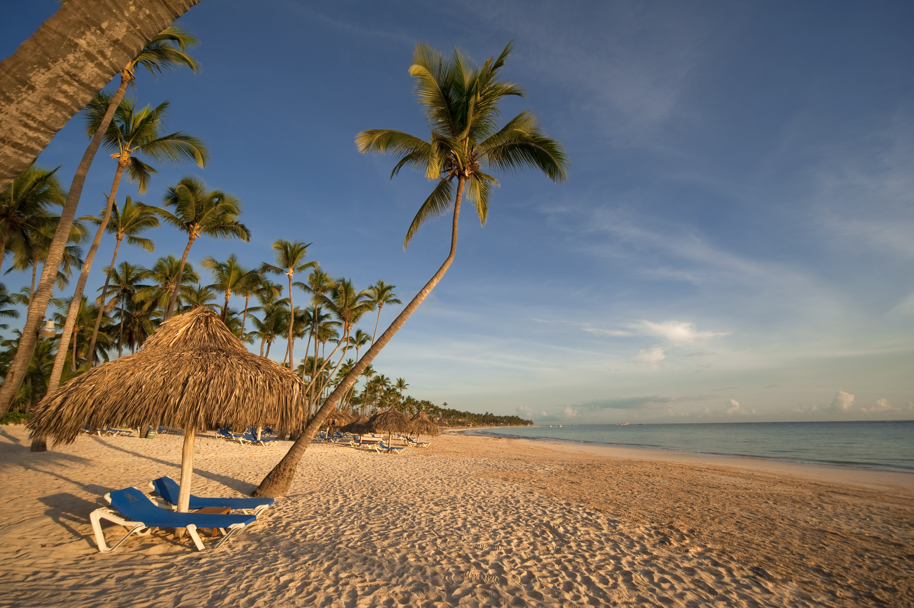 a beach with palm trees and umbrellas