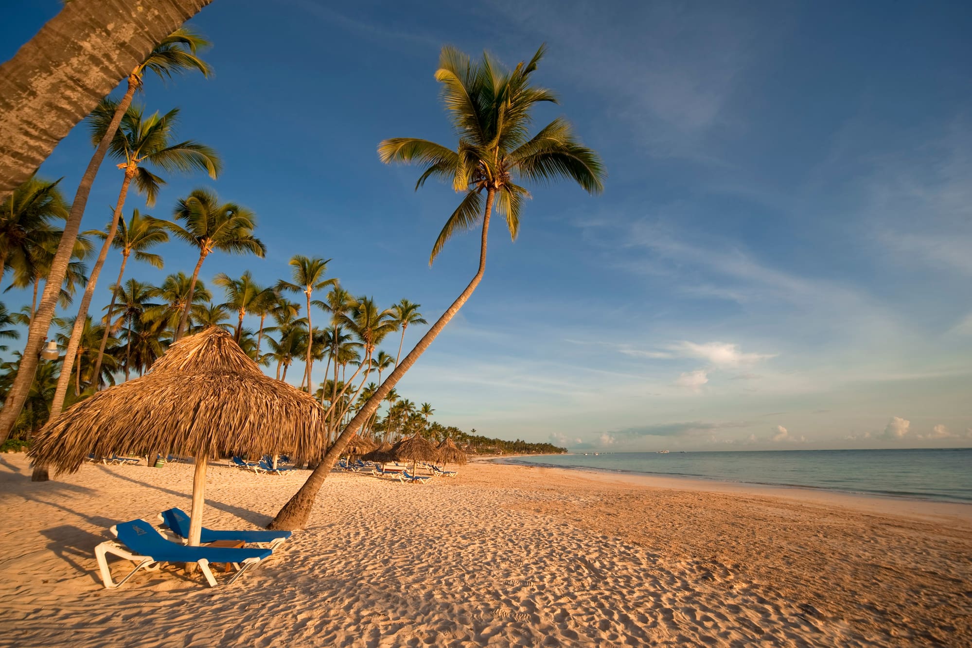 a beach with palm trees and umbrellas