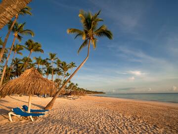 a beach with palm trees and umbrellas