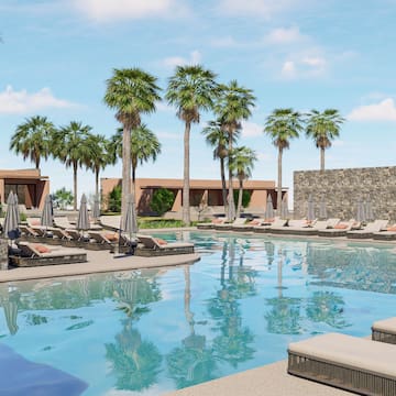 a pool with lounge chairs and palm trees