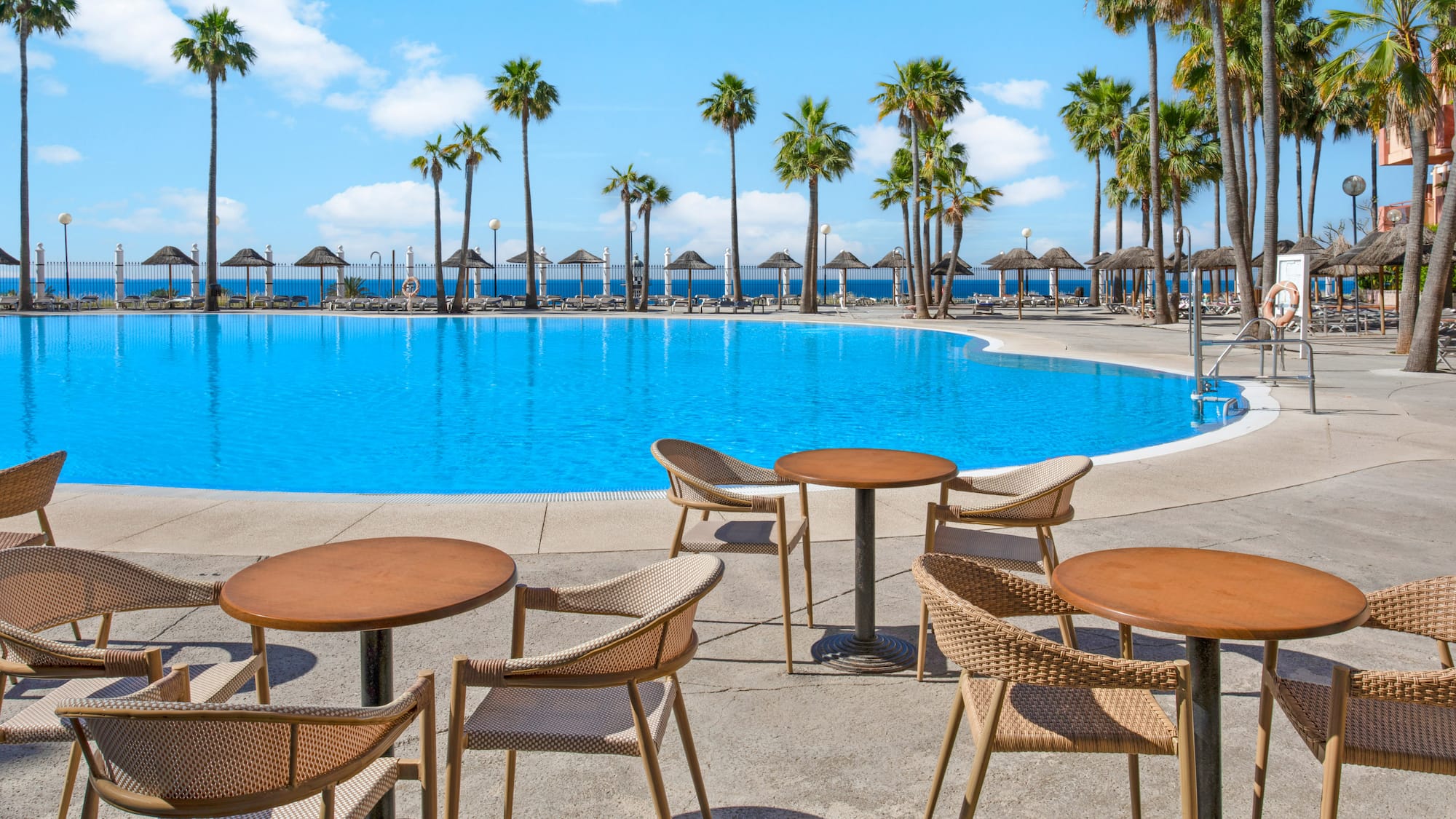 Vibrant blue hotel pool, palm-lined oceanfront, and outdoor cafe seating.