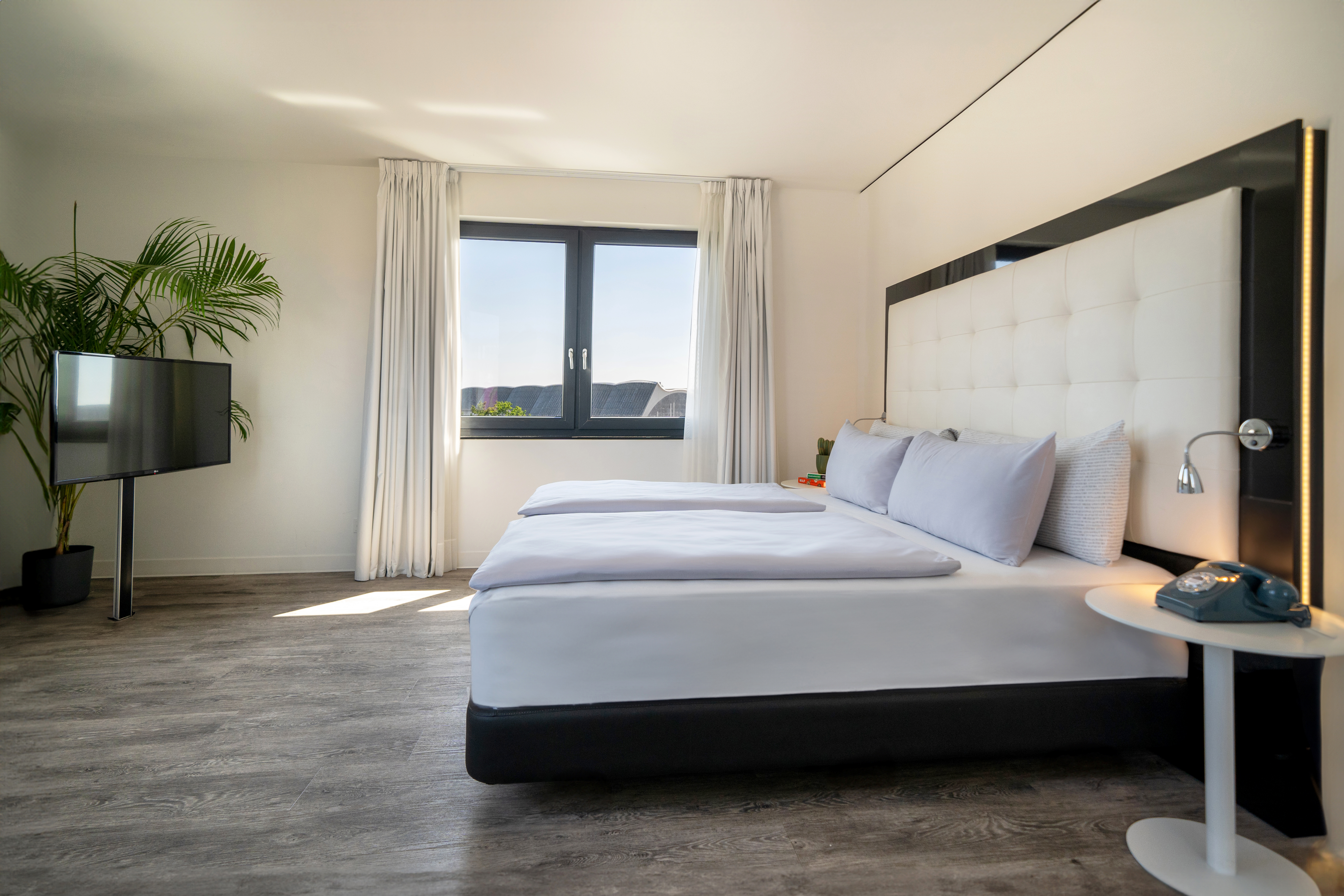 Modern hotel room with large bed, TV, plant, and bright window.