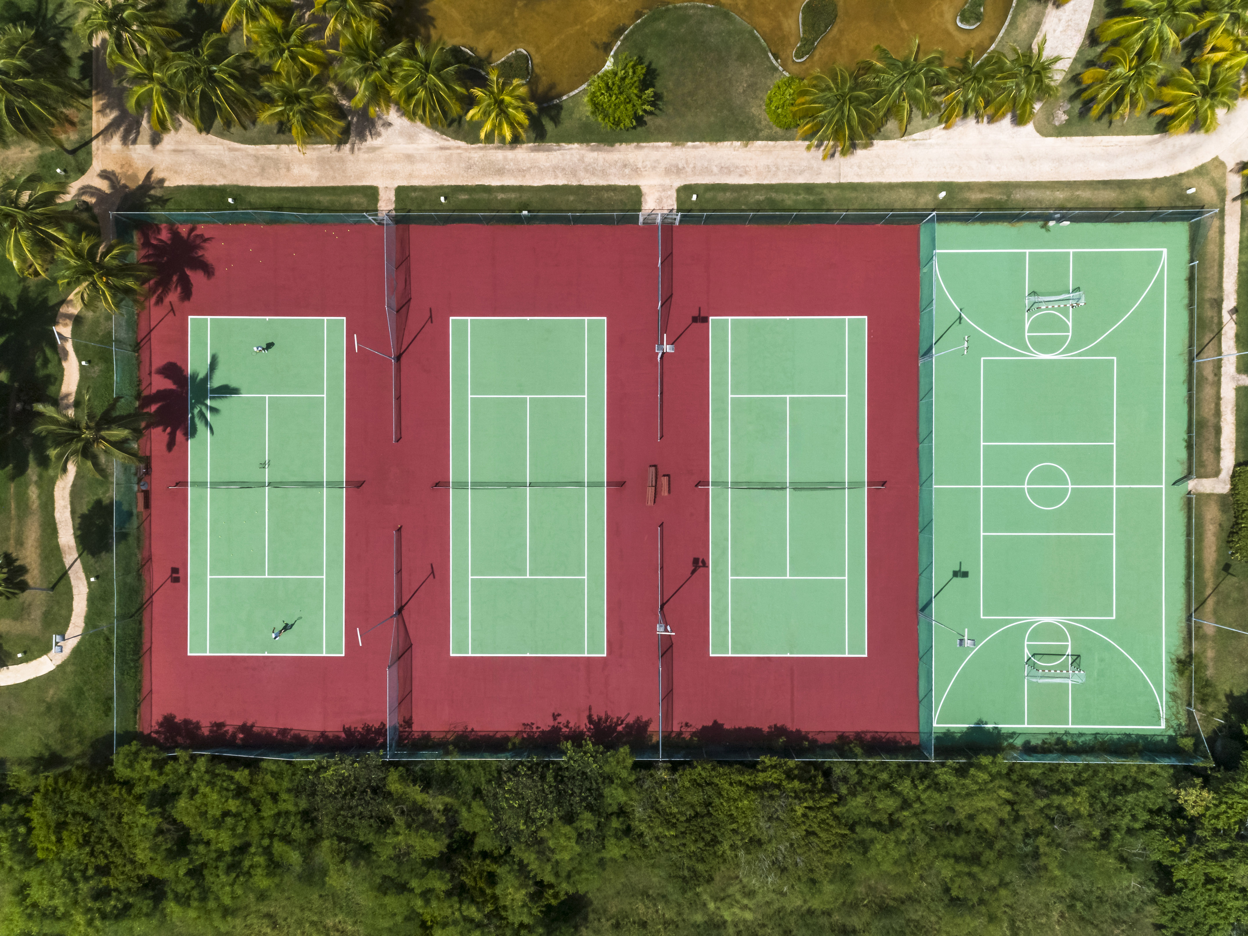 a tennis courts with trees and grass