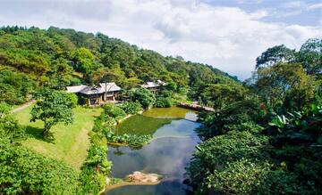 a house surrounded by trees and a pond