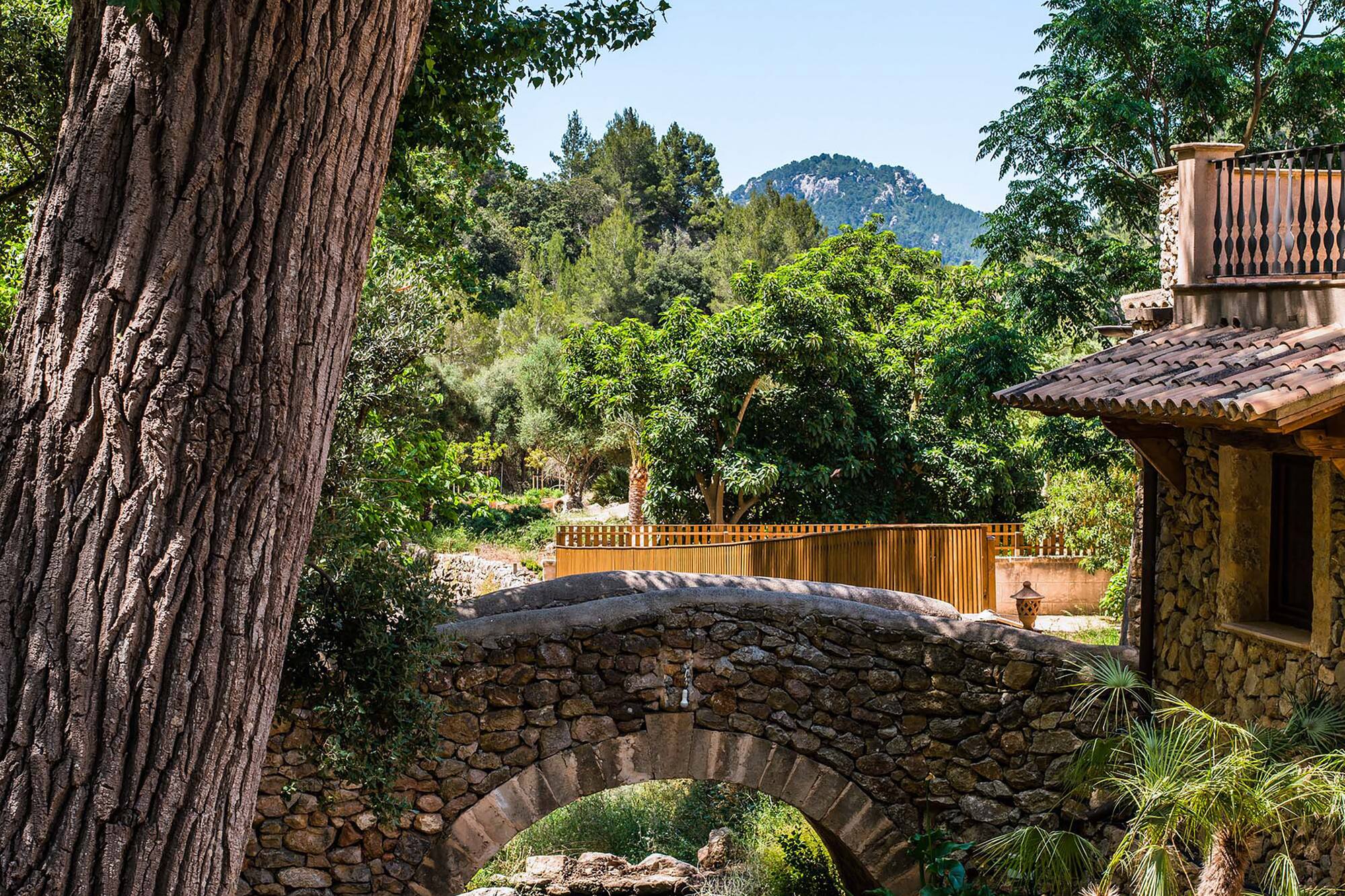 Rustic stone bridge over stream, large tree, stone house in garden.
