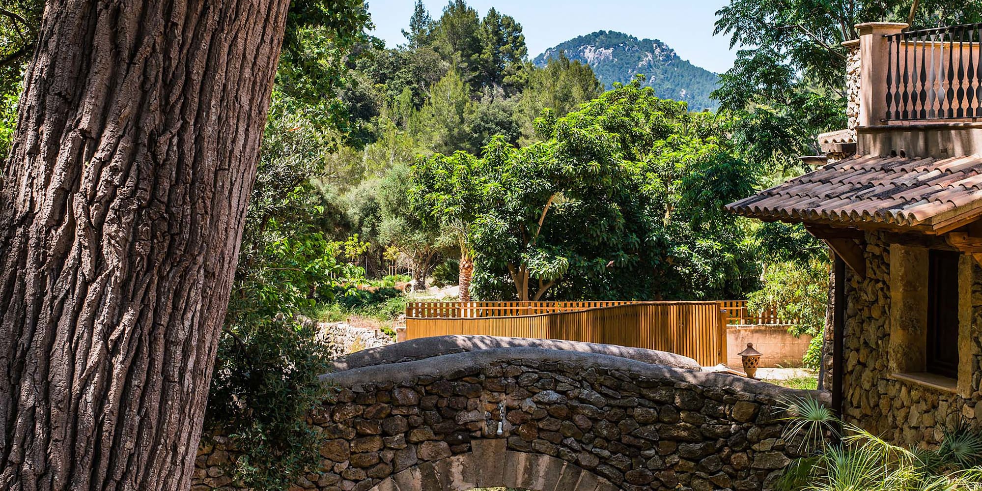 a stone bridge over a stream in a wooded area