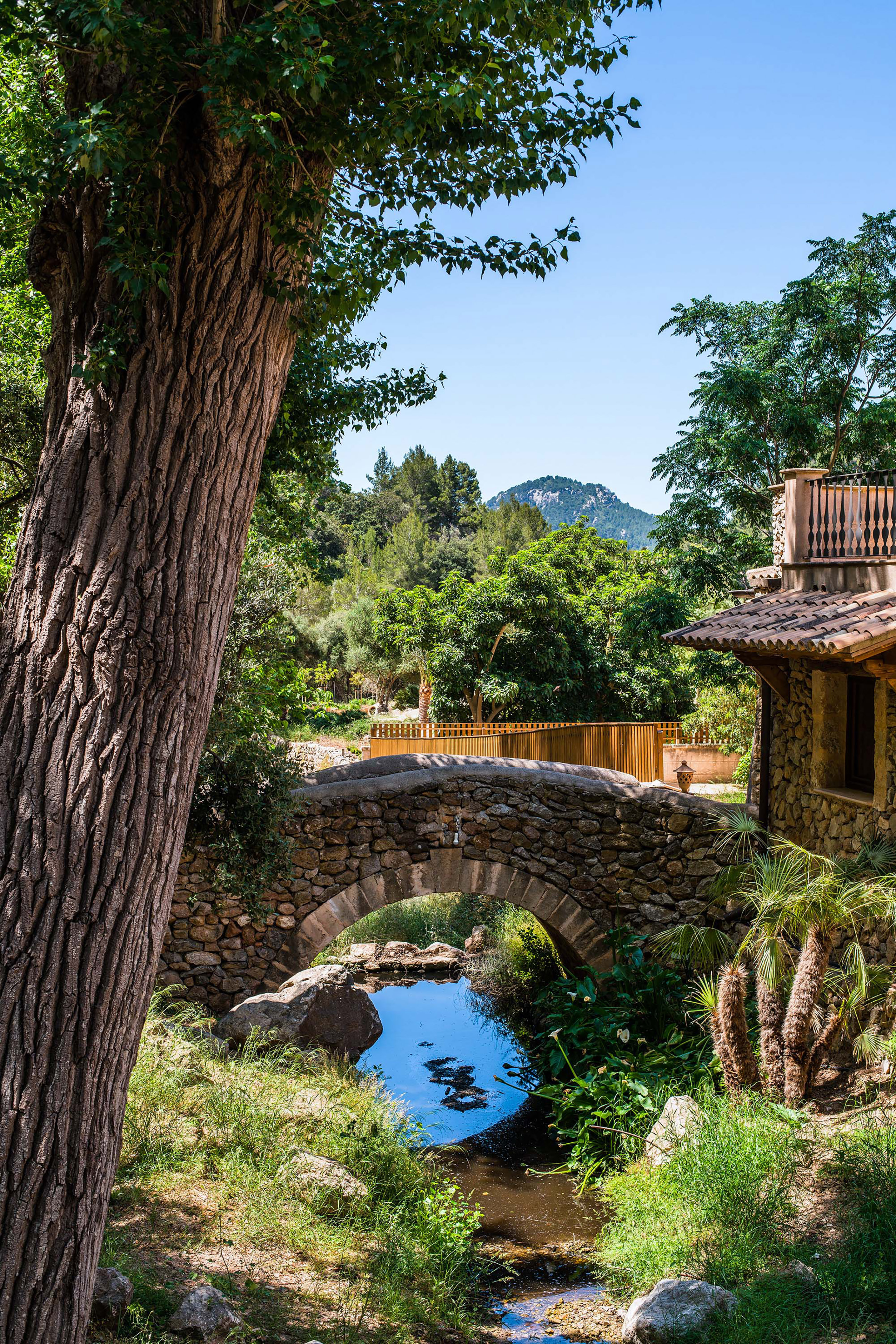 Rustic stone bridge over stream, large tree, stone house in garden.
