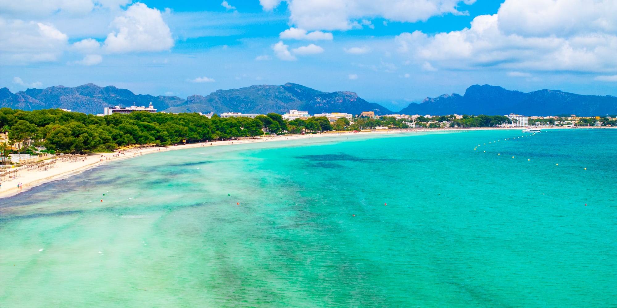 a beach with trees and mountains in the background
