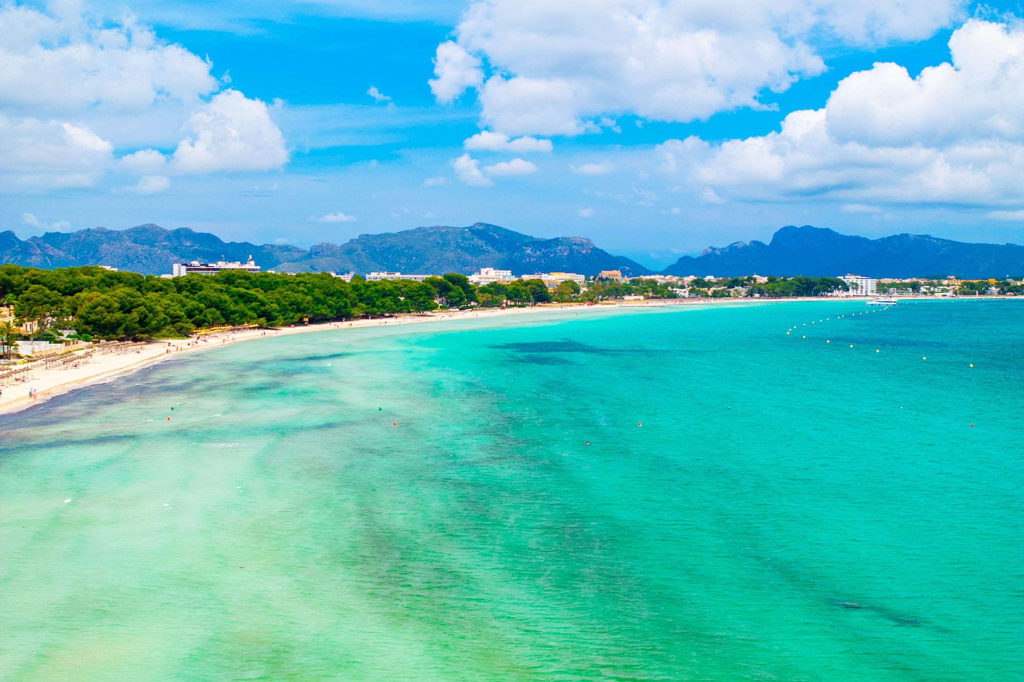 a beach with trees and mountains in the background