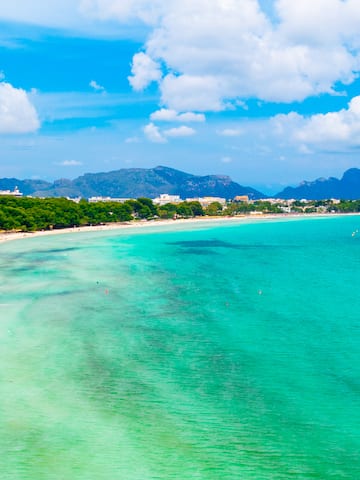 a beach with trees and mountains in the background