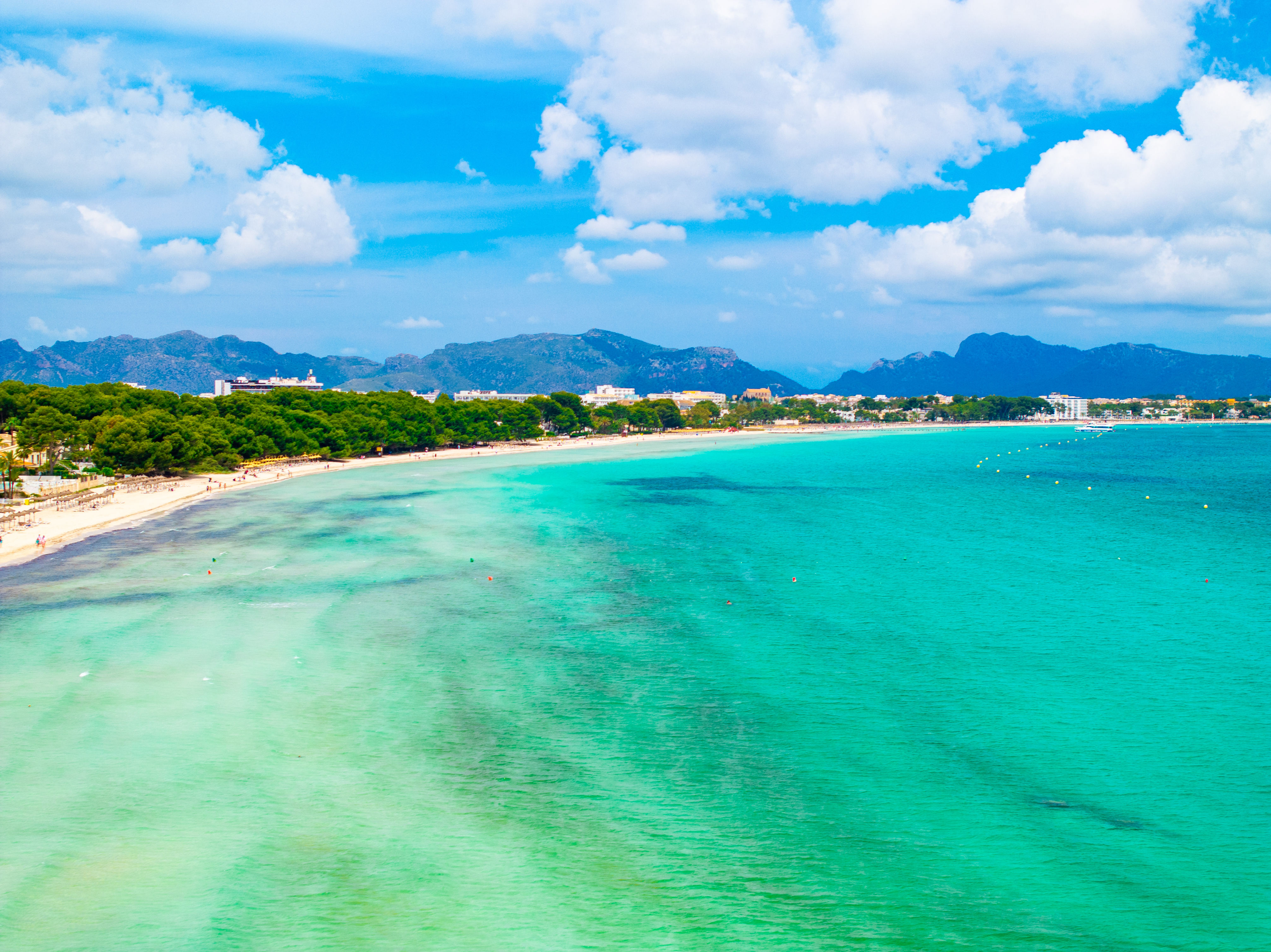 a beach with trees and mountains in the background