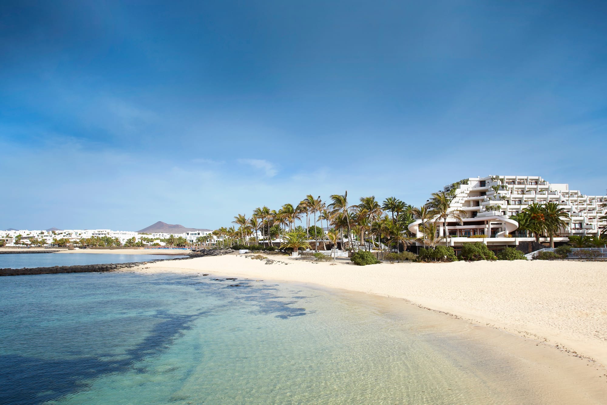 a beach with palm trees and buildings