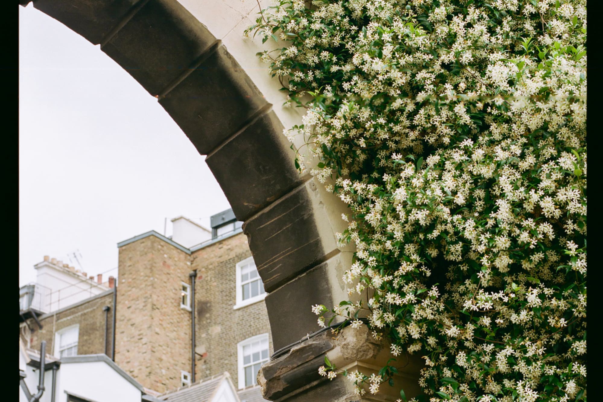 A stone arch stands adorned with a sign, while vibrant flowers bloom around it.