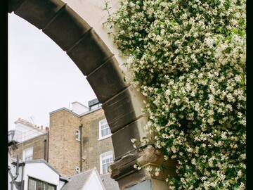 a stone arch with a sign and flowers growing on it