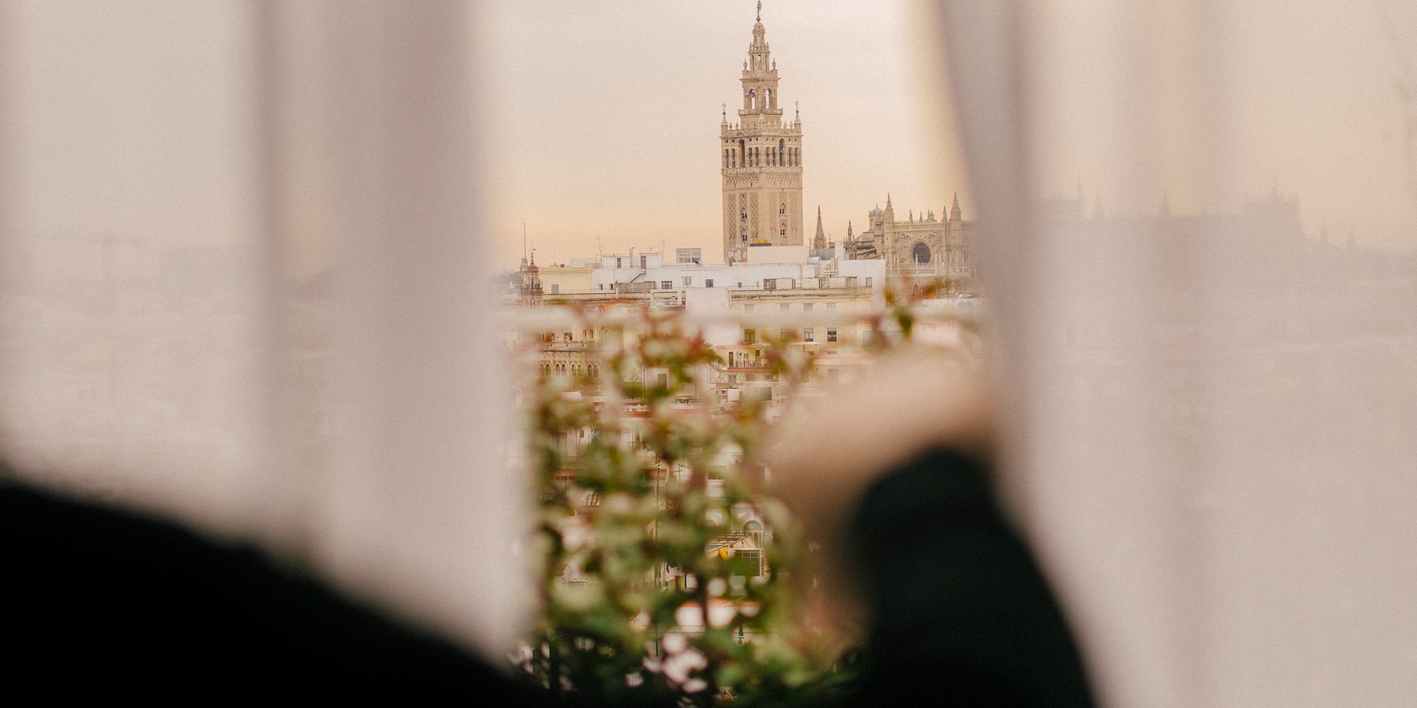 a person looking out a window with a tall building in the background