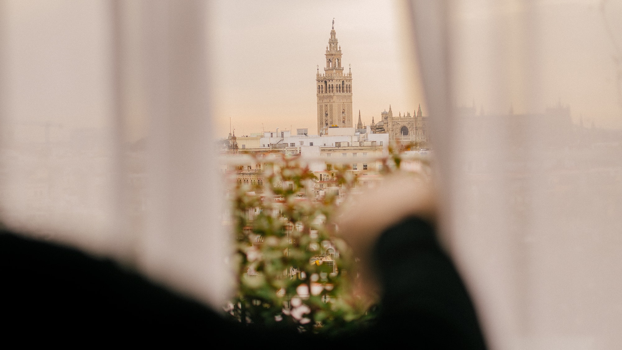 a person looking out a window with a tall building in the background
