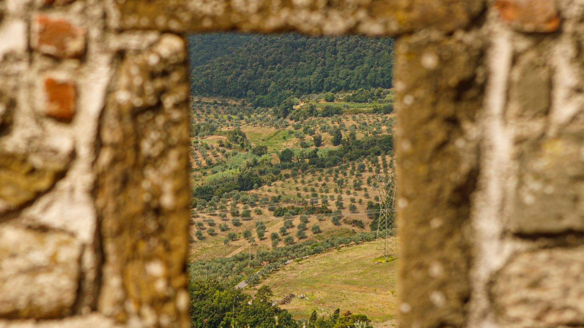 a window in a stone wall