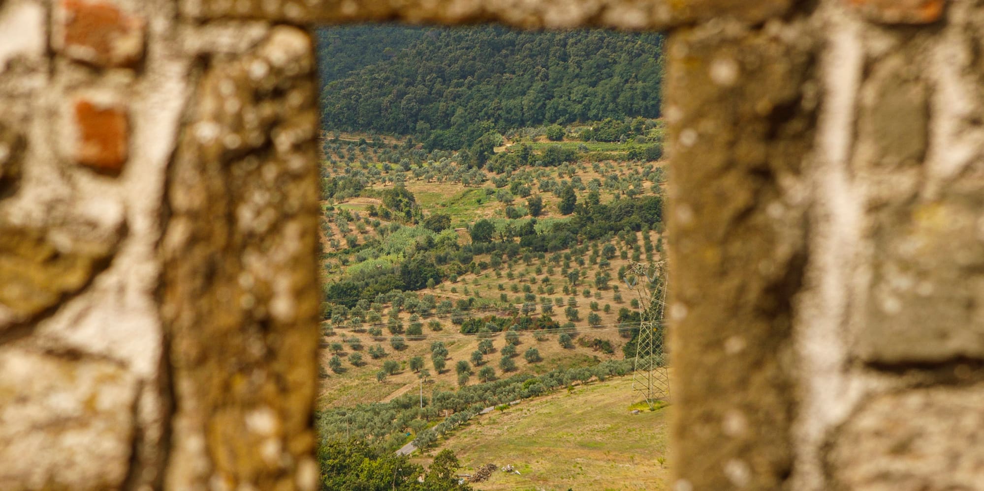a window in a stone wall