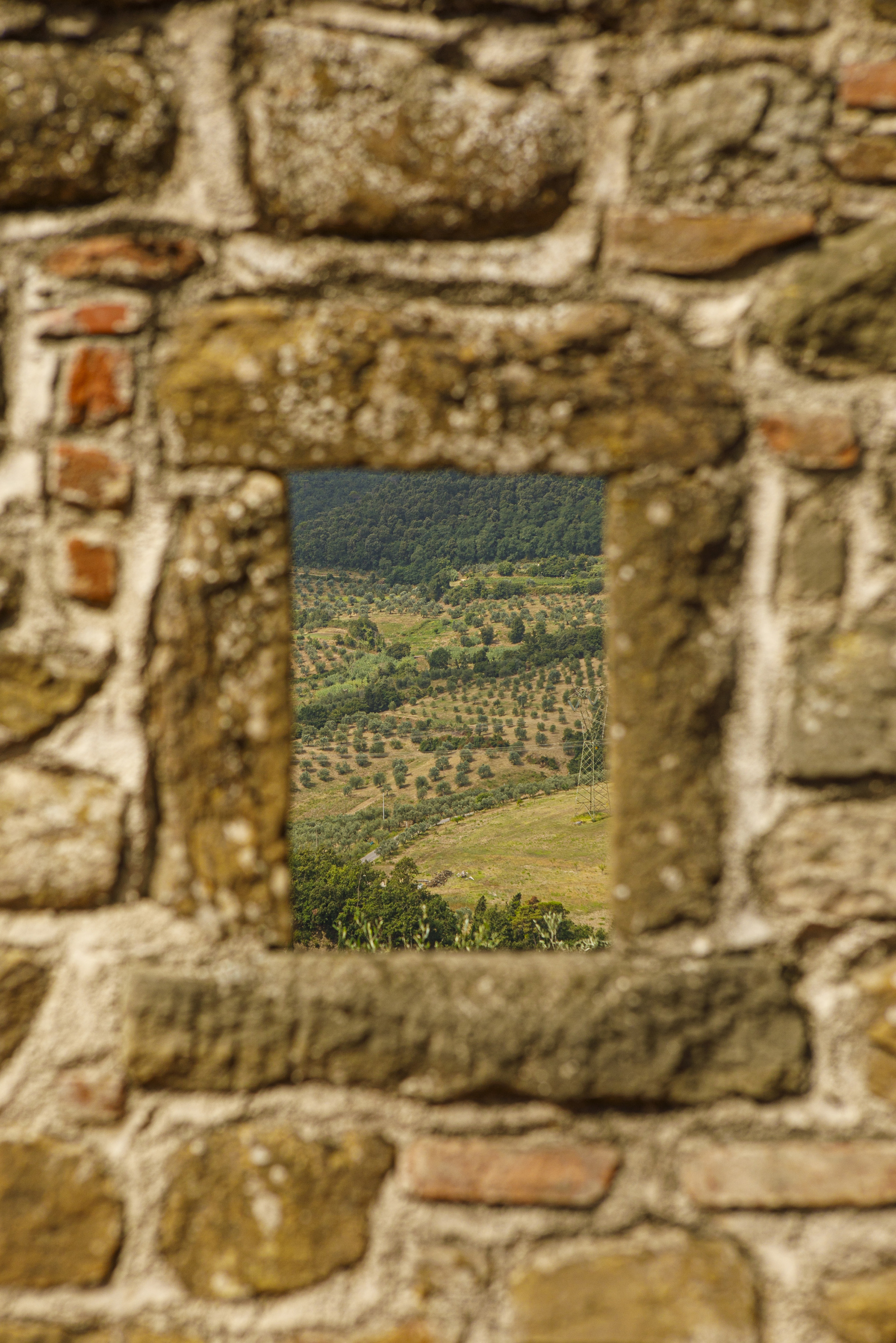 Tuscan olive groves and hills seen through a rustic stone window.