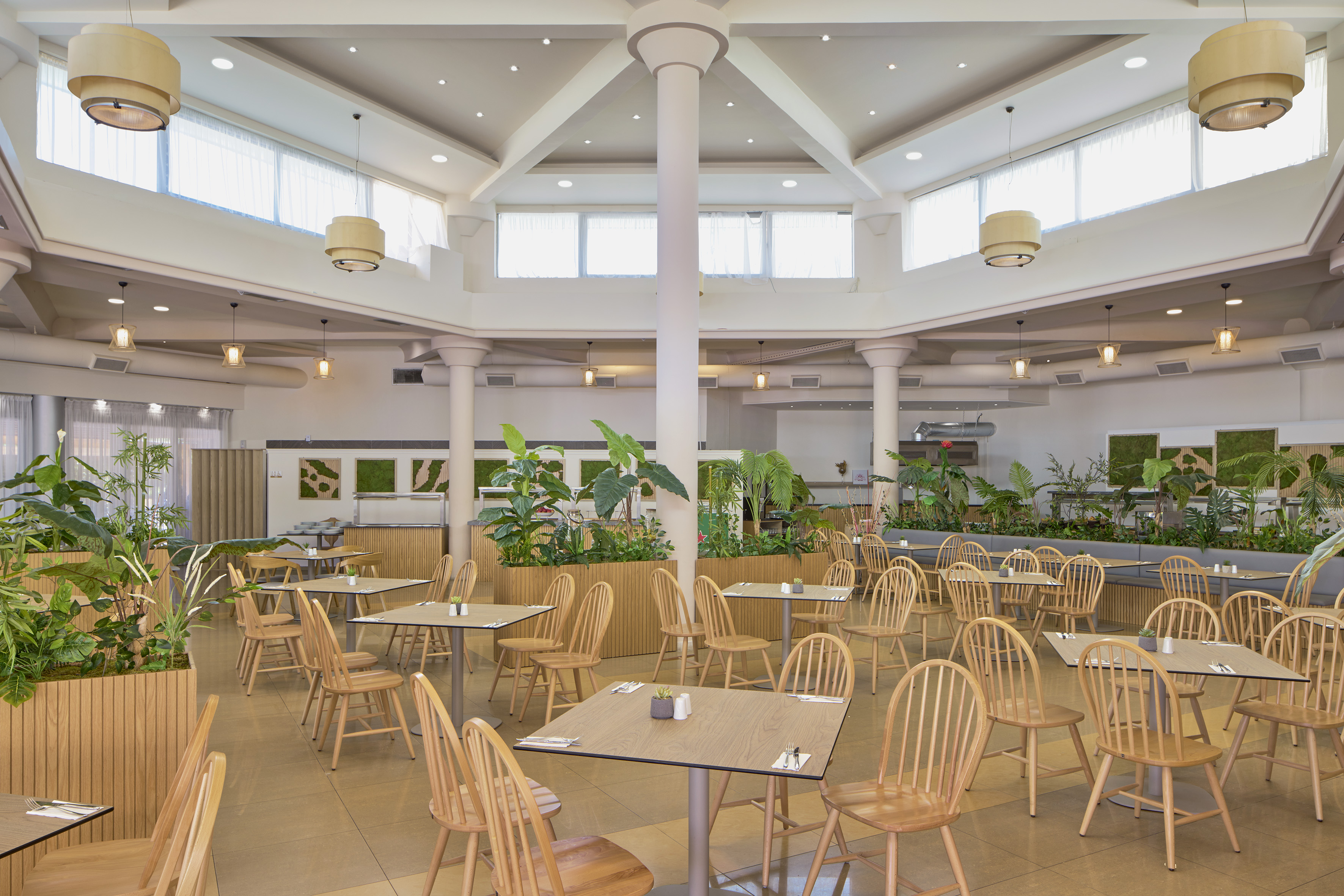 Modern buffet restaurant with wooden tables, chairs, and green plants.