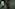 Dark green hotel door 35, gold accents, illuminated vintage portrait of a woman.