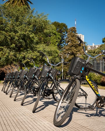 a row of bicycles with baskets