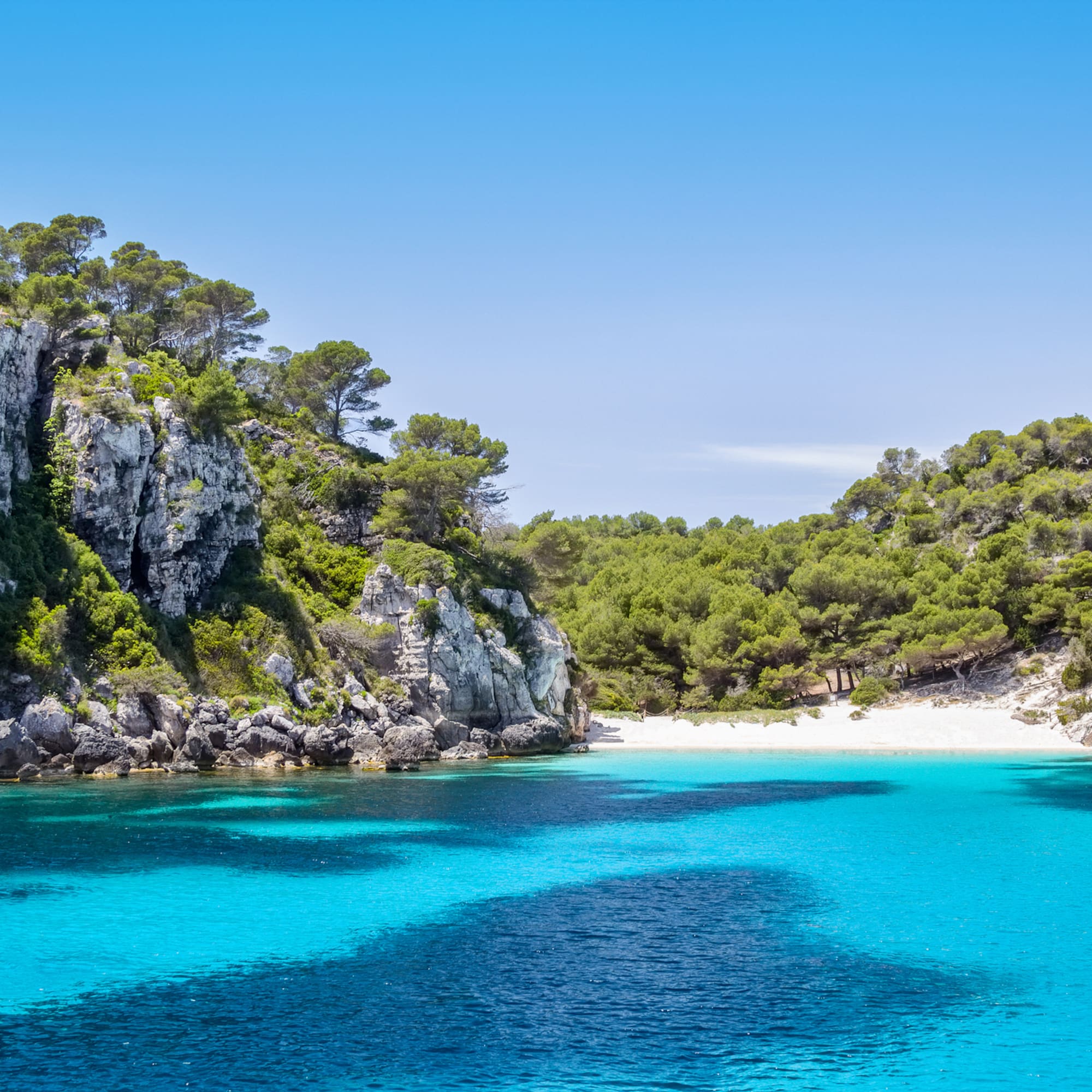 Turquoise water beach in a rocky Mediterranean cove with pine trees.