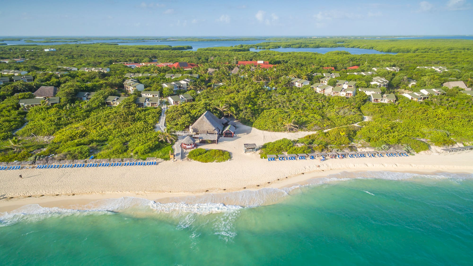 a beach with a house and trees