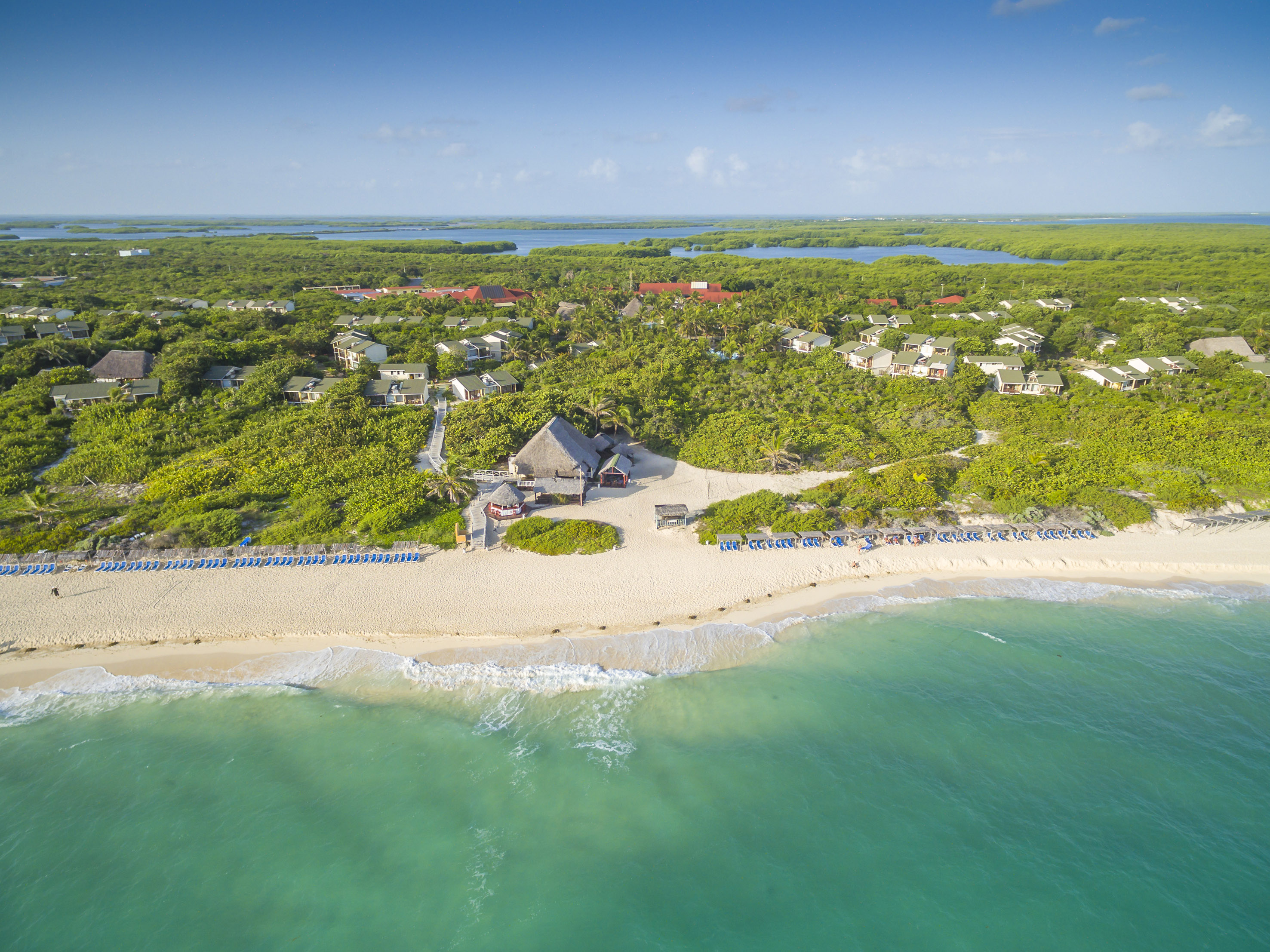 a beach with a house and trees