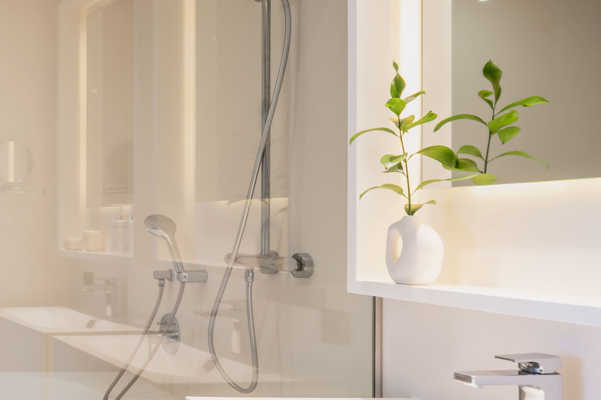 a bathroom with a shower and a plant