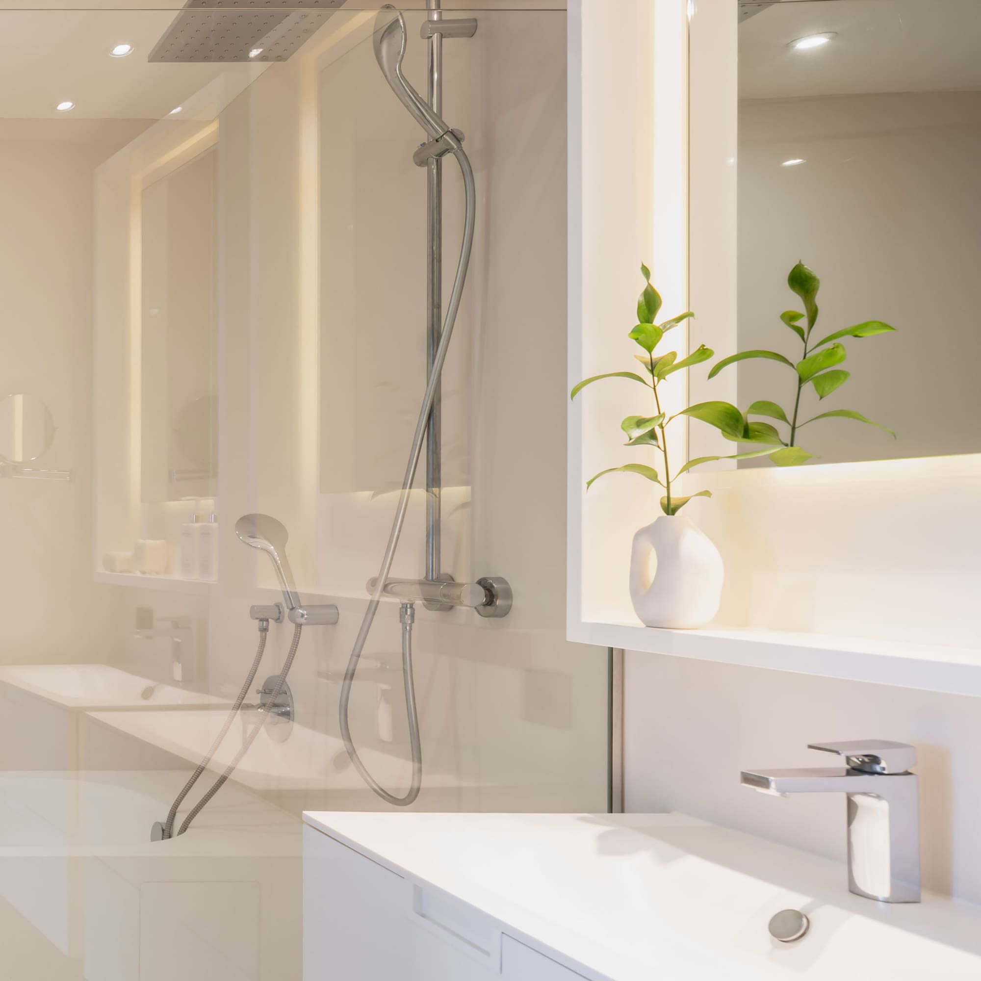 a bathroom with a shower and a plant