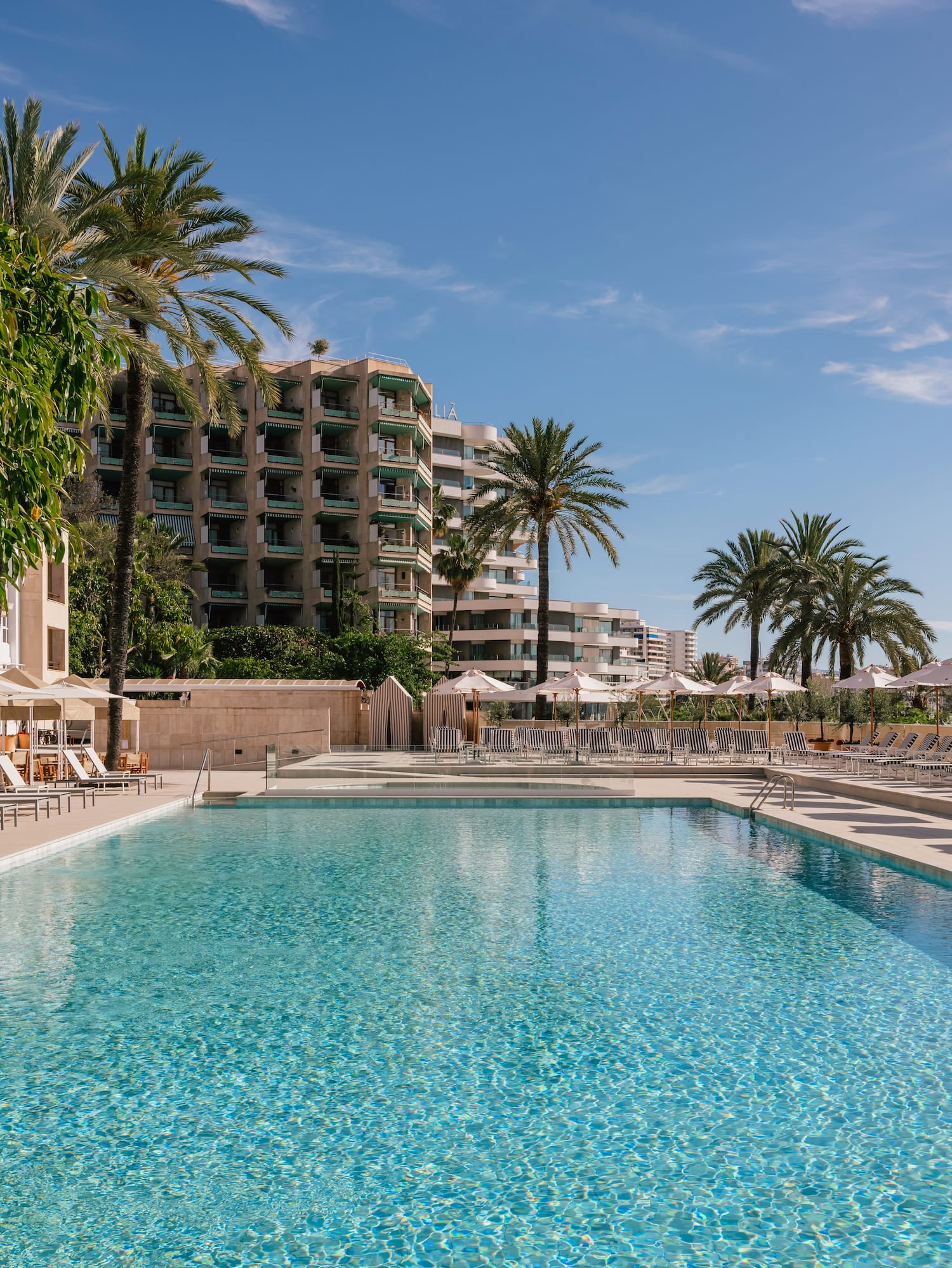 a swimming pool with palm trees and buildings
