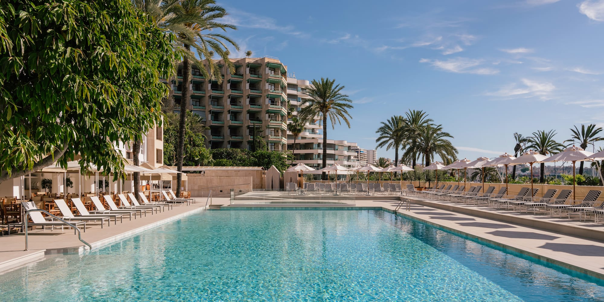 a pool with palm trees and buildings