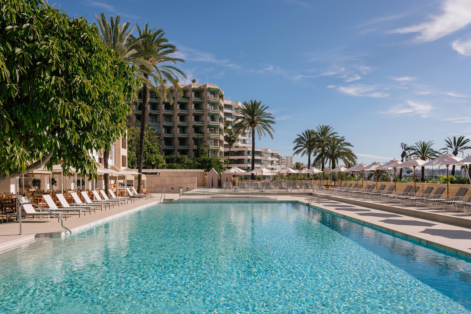 Resort swimming pool with palm trees, lounge chairs, and hotel buildings.