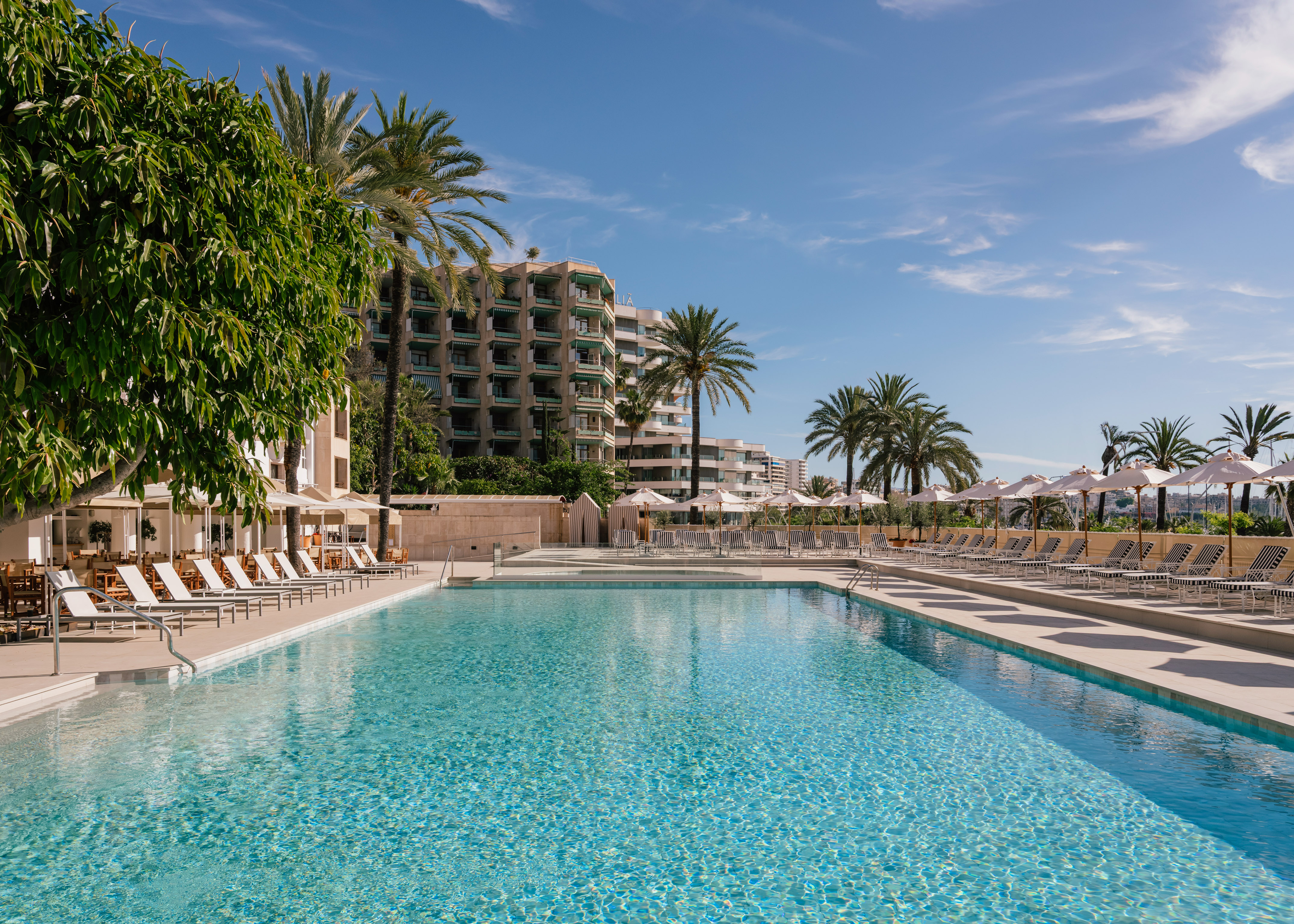 Resort swimming pool with palm trees, lounge chairs, and hotel buildings.