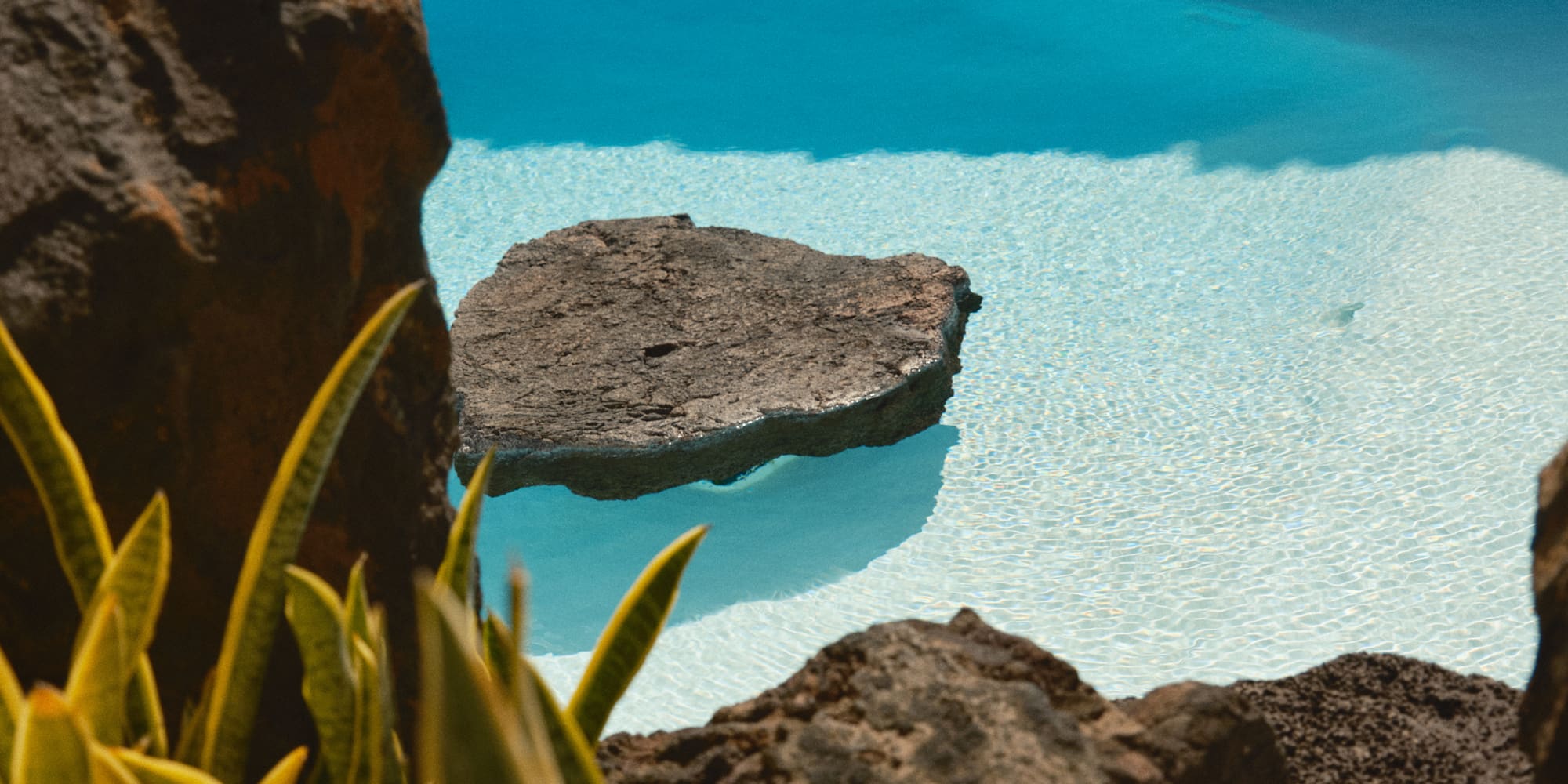 a pool with rocks and plants