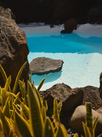 a pool with rocks and plants